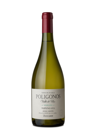 Zuccardi Polígonos Cabernet Franc 2023 – San Pablo, Uco Valley